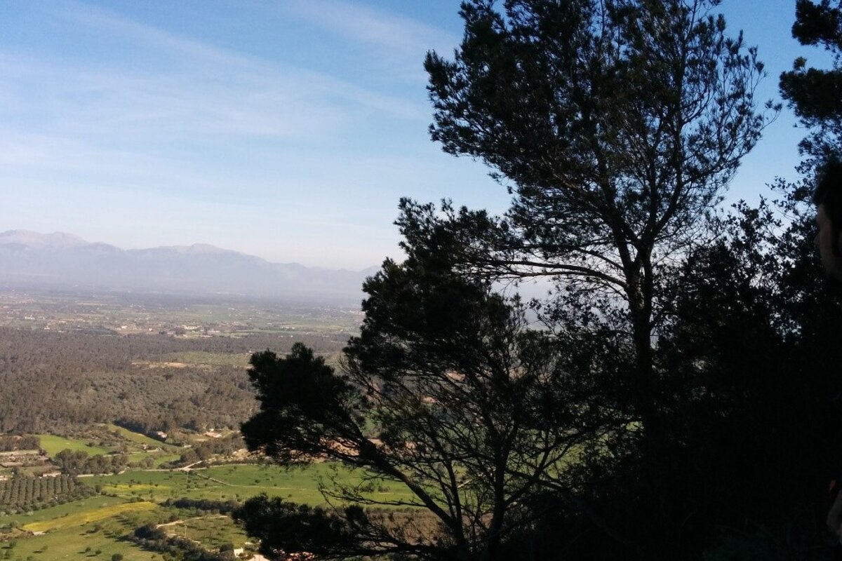 Hiking up the Puig de Randa Review