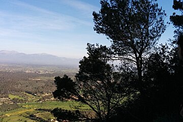 Hiking up the Puig de Randa Review