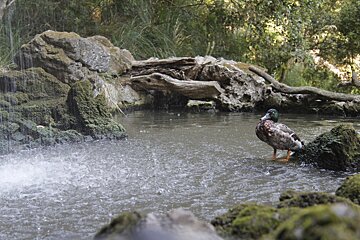 La Reserva Puig de Galatzó Nature & Leisure Park, Puigpunyent