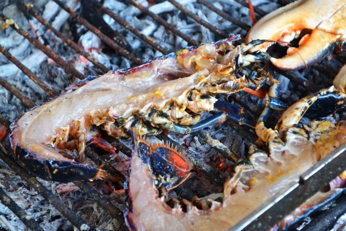 Le Saint-Julien Restaurant, Medoc (North Gironde) style of cuisine