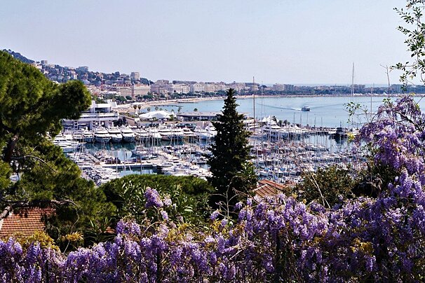 looking over the old port of cannes and along the bay