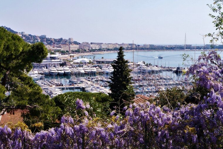 looking over the old port of cannes and along the bay