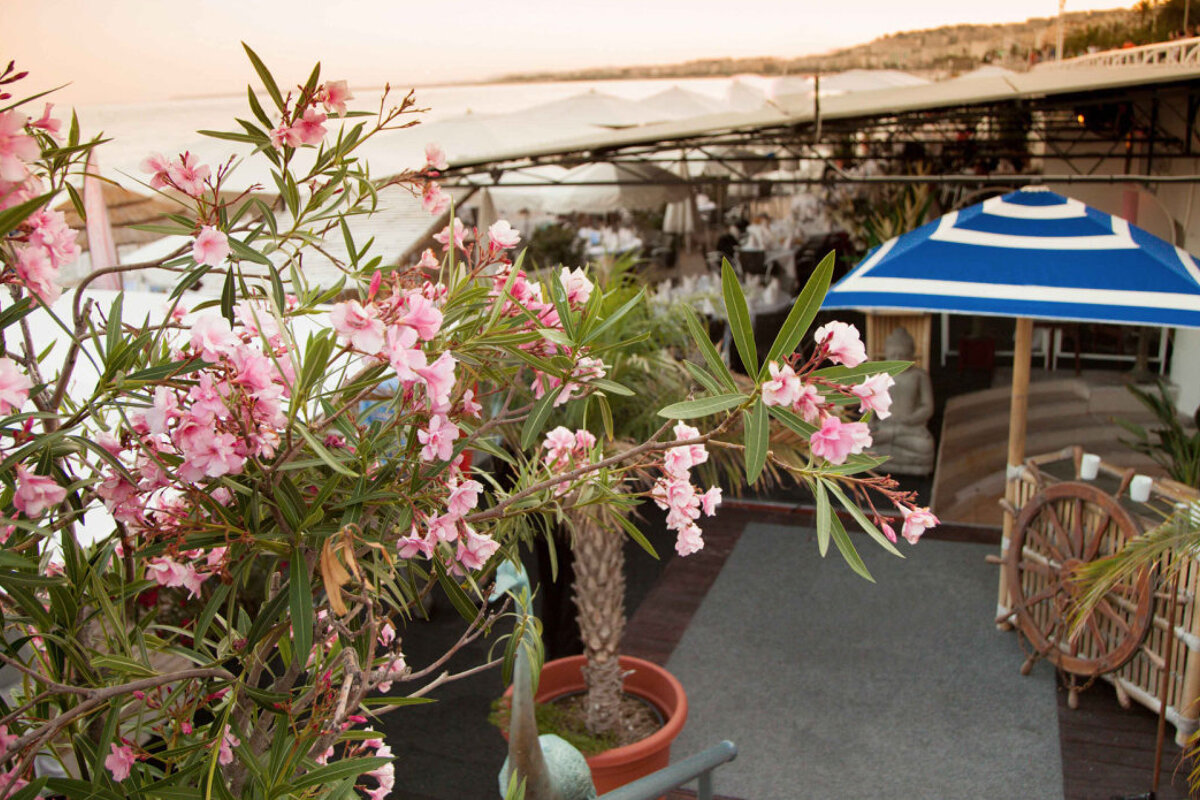 Neptune Plage Beach Club, Nice terrace
