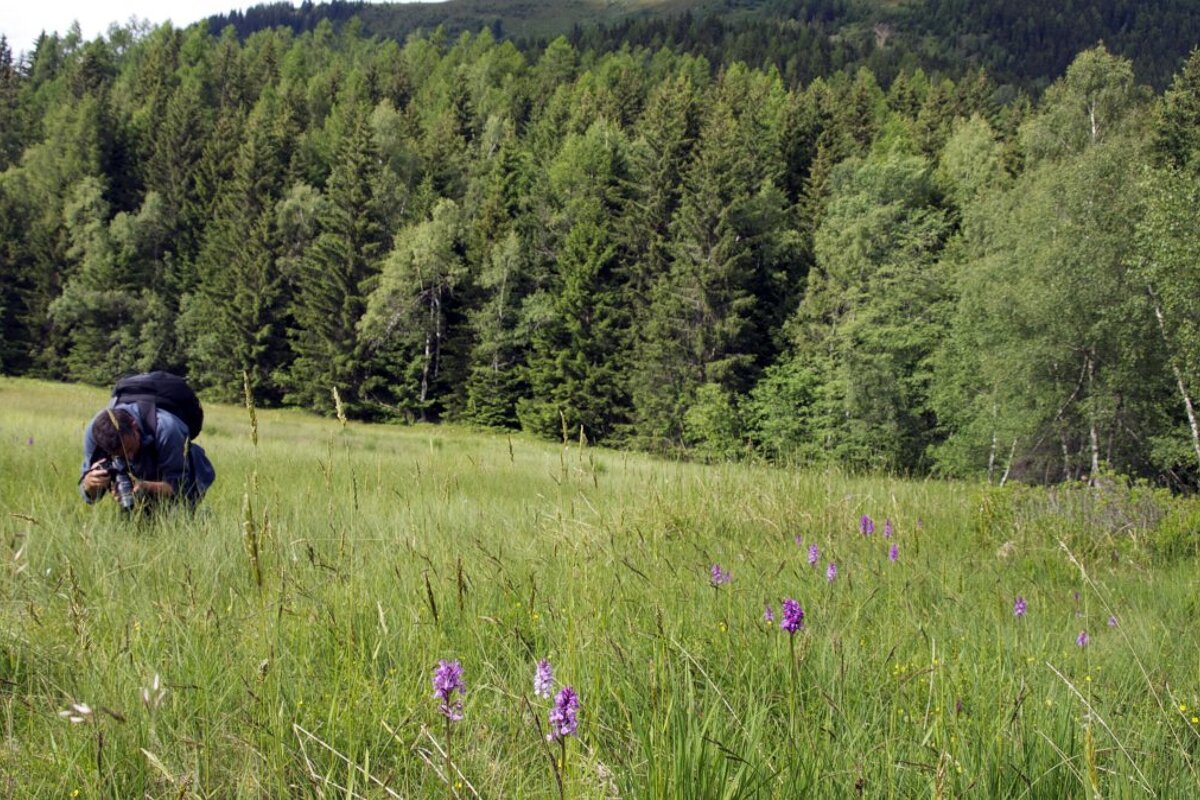 Teresa Kaufman's Outdoor Photography Courses