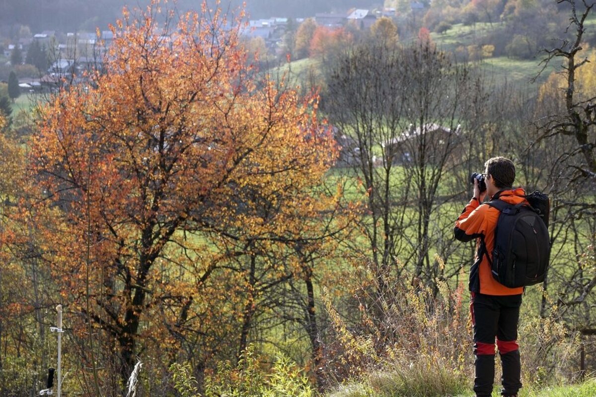 Teresa Kaufman's Outdoor Photography Courses