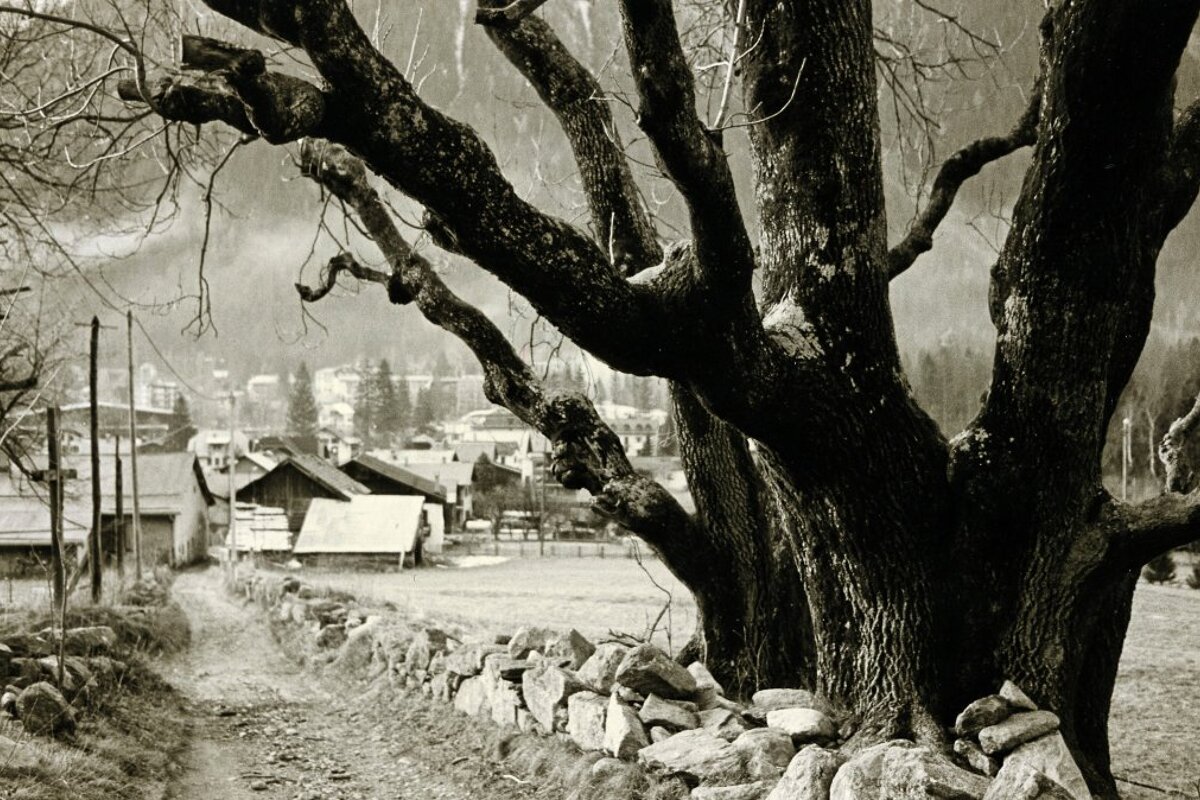 Teresa Kaufman's Outdoor Photography Courses