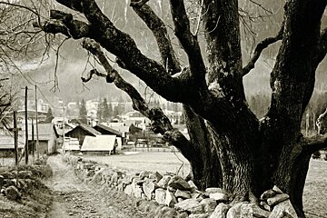 Teresa Kaufman's Outdoor Photography Courses