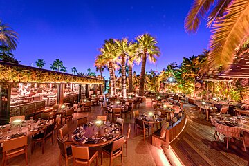 Vibrant outdoor restaurant at night with warmly lit tables, tall palm trees, and lush tropical foliage under a deep blue sky.