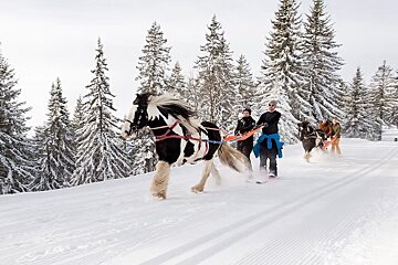 Ski Joering in the snow in Morzine