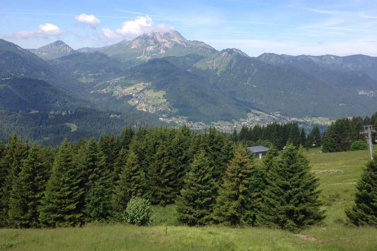 A view of a mountain range with trees in the foreground