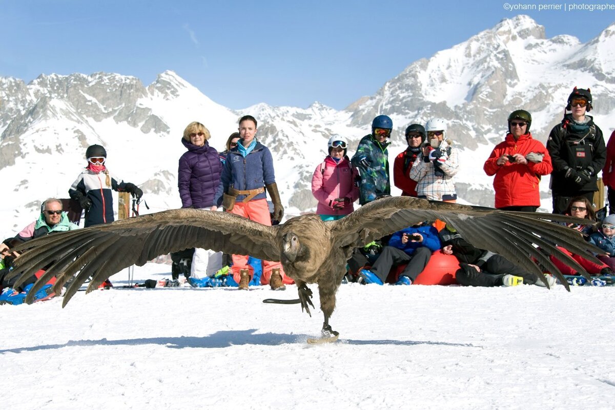 Les Aigles du Léman Restaurant, Nyon (Morzine)