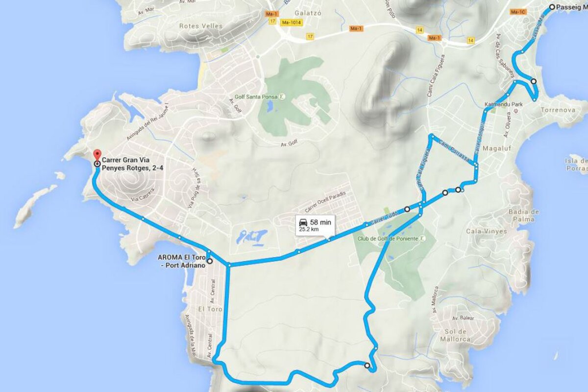 image of a map