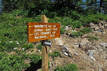 a post marking trail running routes