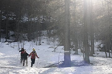 A group of people walking through a snowy forest