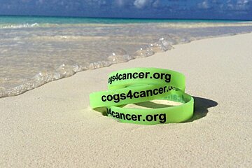 Cogs4Cancer 2014, Antibes