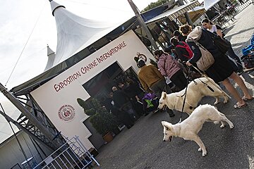 Monaco International Dog Show, Monaco