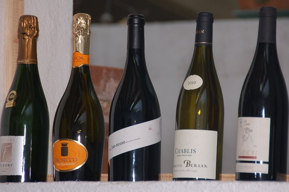 Organic Wine Tasting, Nice