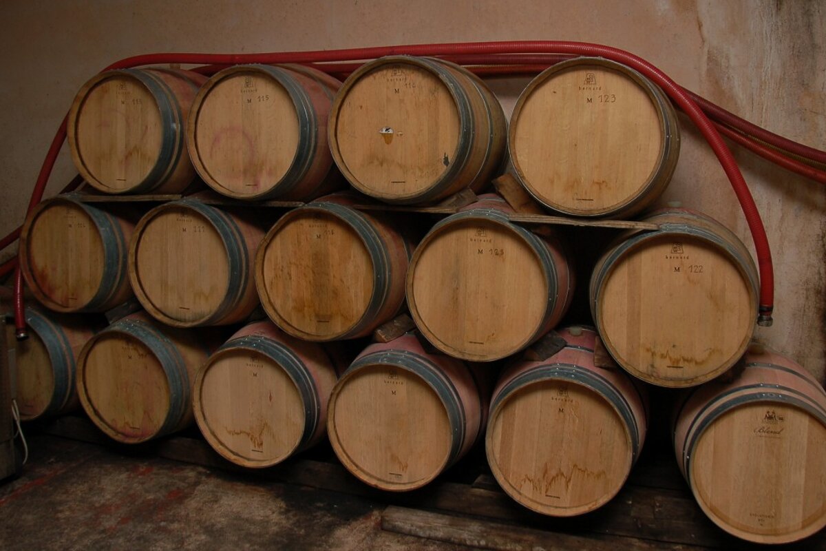 Organic Wine Tasting, Nice