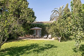 Sunny garden with a vine-covered house, featuring a patio with an umbrella, table, chairs, and loungers, surrounded by lush trees and fruit trees.