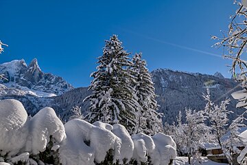 Snow covered trees and bushes with mountains in the background