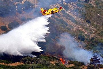 First Forest Fire of the year in Camp de Mar