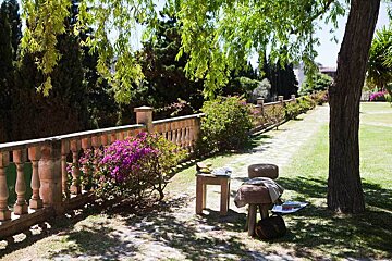A wooden stool sits under a tree in a park