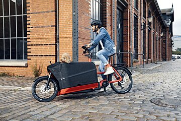 A man is riding a bike with a dog in the back