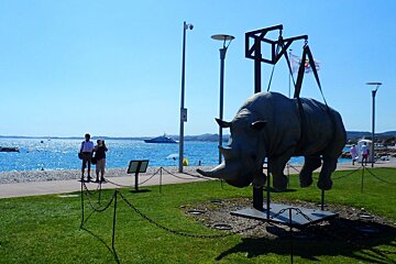 a rhino sculpture near the sea in Nice