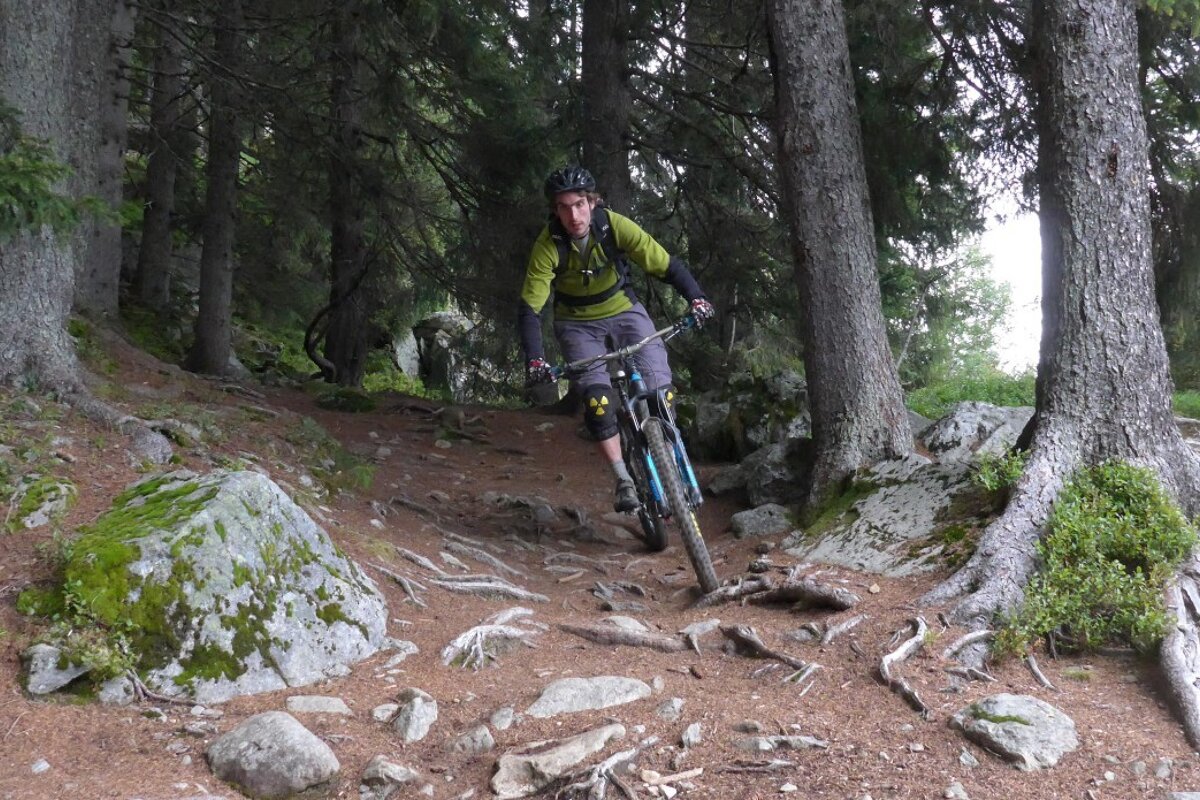 a mountain biker in chamonix in the trees