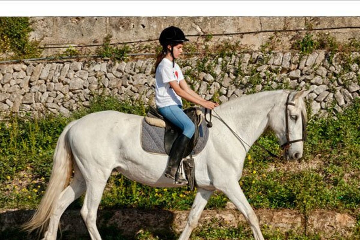 Horse Riding Lessons, Randa