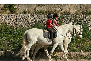 Horse Riding Lessons, Randa