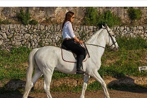 Horse Riding Lessons, Randa