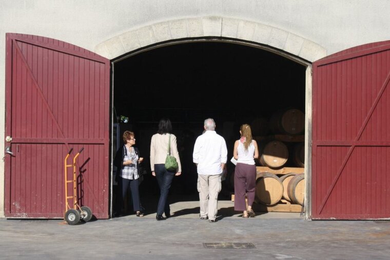 Open Doors at the Vineyards in Graves