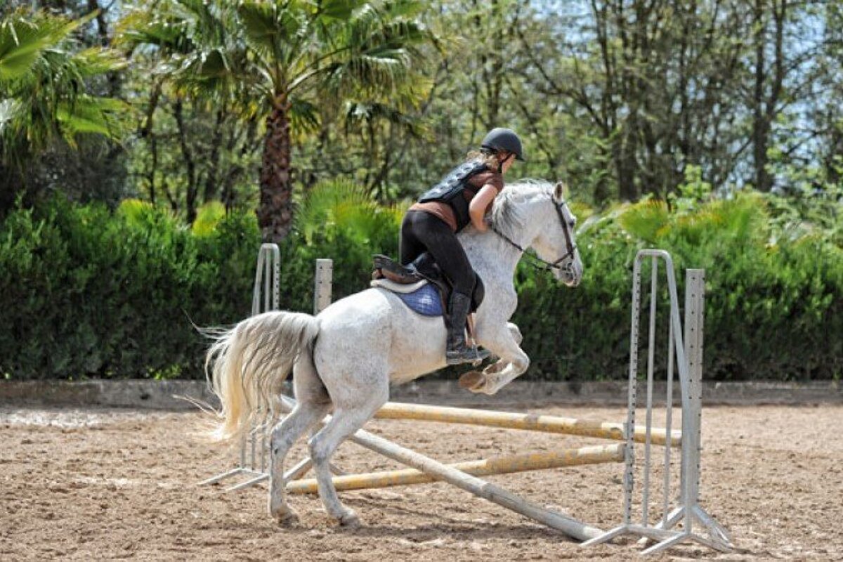 Show Jumping Horse Riding Holiday, Mallorca