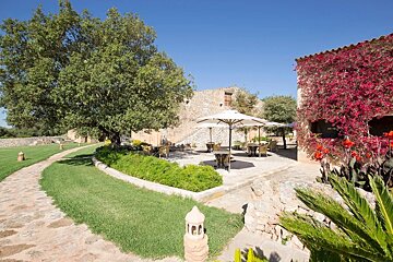 A beautiful sunny garden with a stone path, large tree, and outdoor seating under umbrellas. A stone building with vibrant red flowers climbing its wall is on the right.