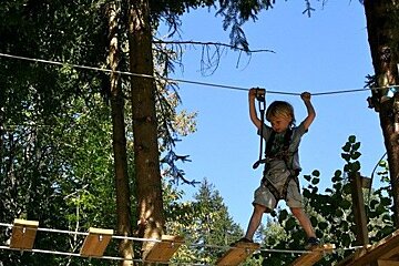 Mont-Blanc Forest, Les Houches