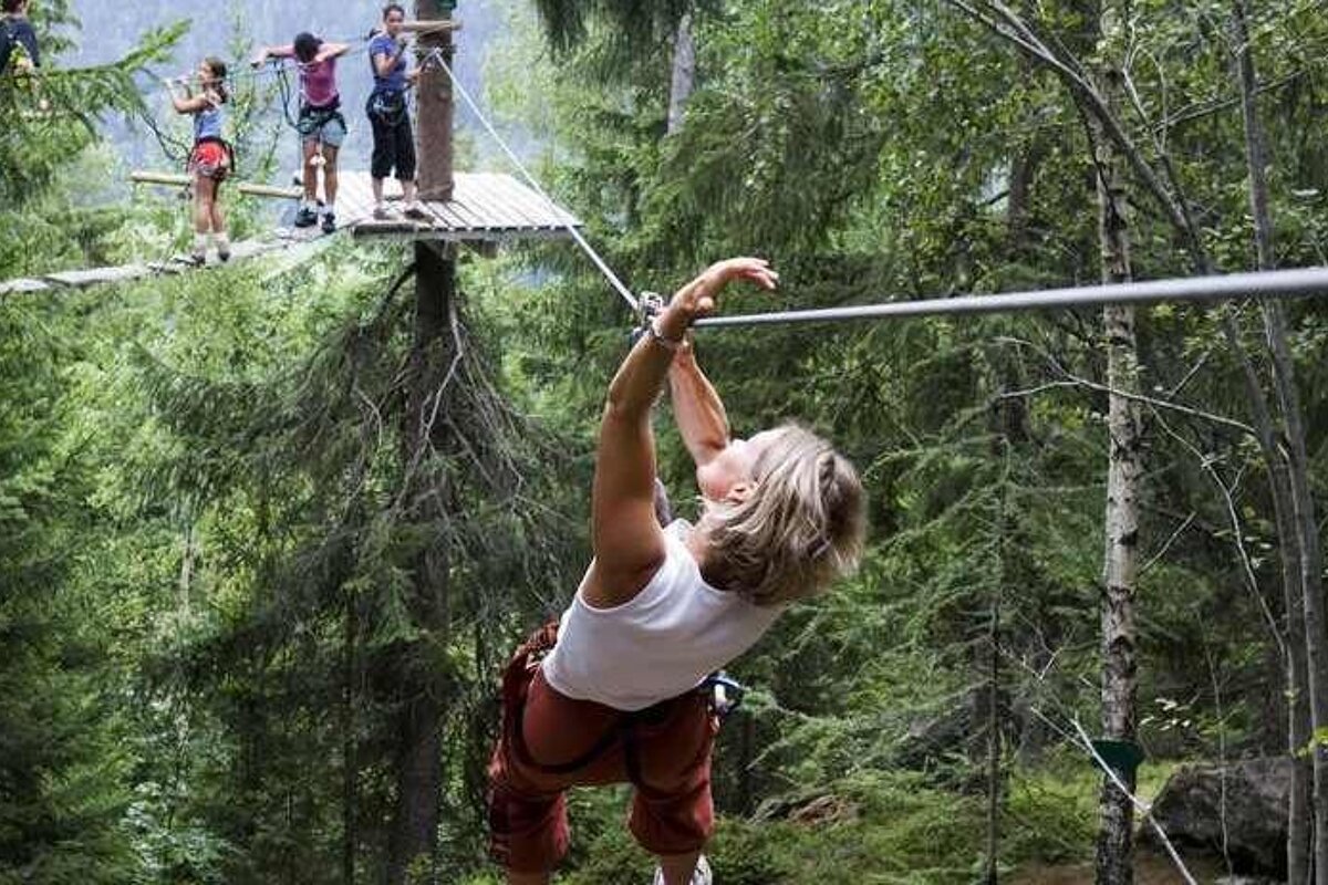 Mont-Blanc Forest, Les Houches