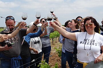 Wine Days Mallorca, Binissalem