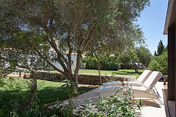 Sunny garden patio with an olive tree, green lawn, stone wall, and two white lounge chairs, all under a bright blue sky.