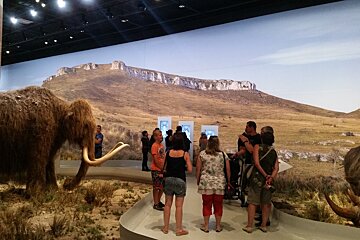visitors in a museum