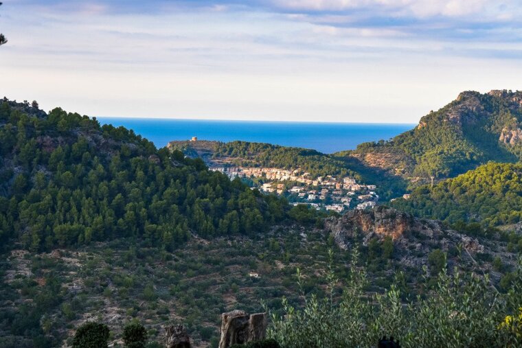 Ca's Xorc Restaurant Review, near Soller