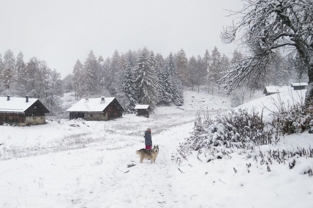 A hiker and a dog on a trail in the snow near Chamonix