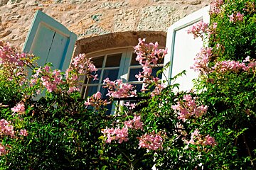 A window with blue shutters is surrounded by pink flowers