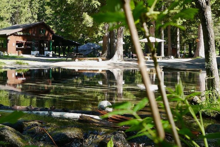An image of a stream running through a forest