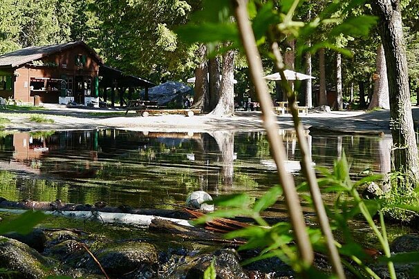 An image of a stream running through a forest
