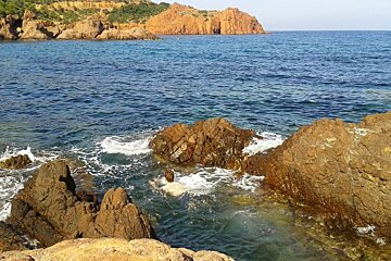 swimming through the rocks into open sea