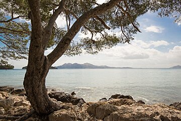 A Warmer and Drier Winter this Year in the Balearics
