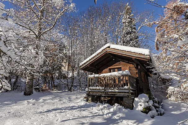 A small wooden cabin is surrounded by snow covered trees