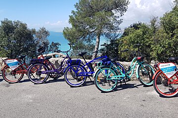 A row of bikes are parked on the side of the road