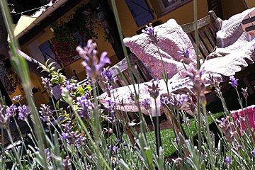 La Jabotte Hotel, Antibes garden